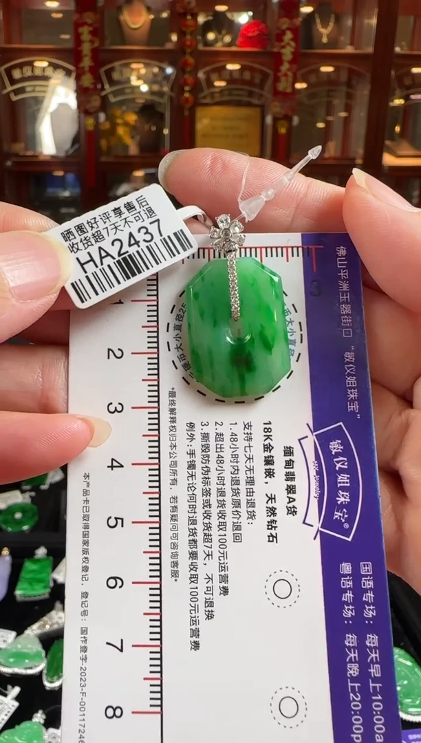 颈饰18K金镶嵌翡翠HA2437福到