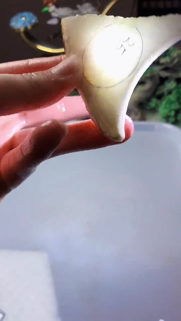 翡翠未镶嵌颈饰天然A货翡翠