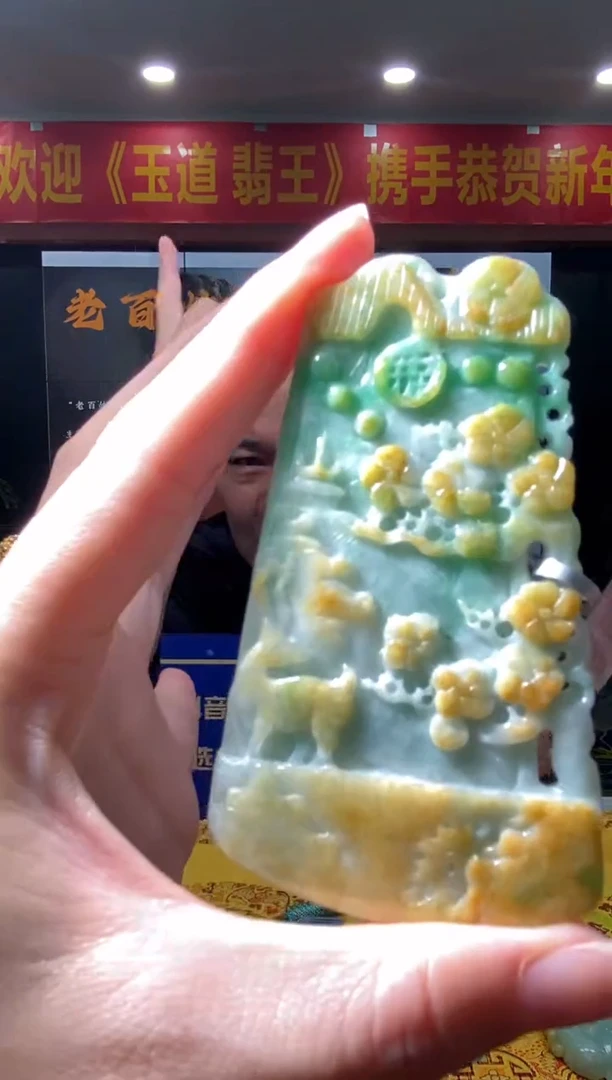 【闪购商品】翡翠颈饰未镶嵌B-@@BSGC01270058