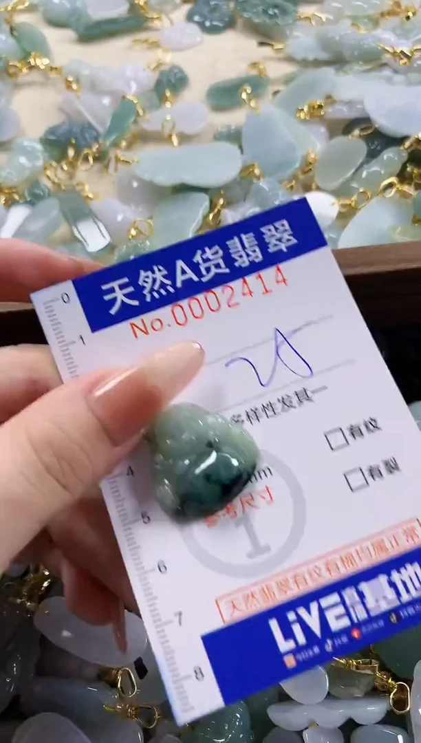 颈饰未镶嵌翡翠天然A货翡翠