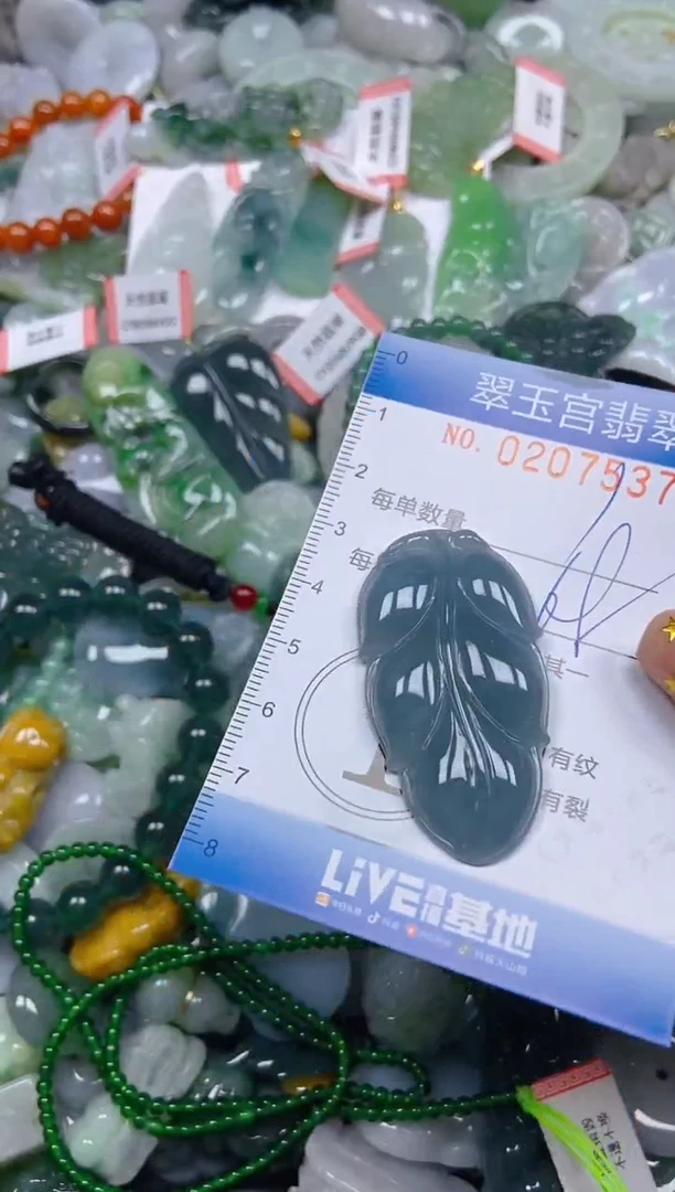 颈饰未镶嵌翡翠闪购C0207537