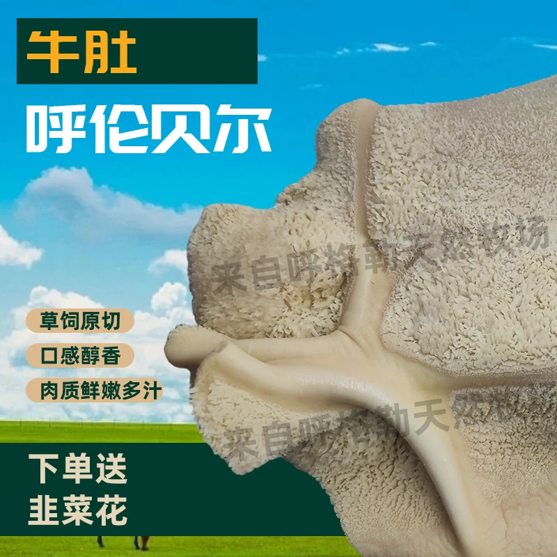 【熟牛肚】 熟牛肚 改价商品以直播间称重为准 固形物含量80%以上