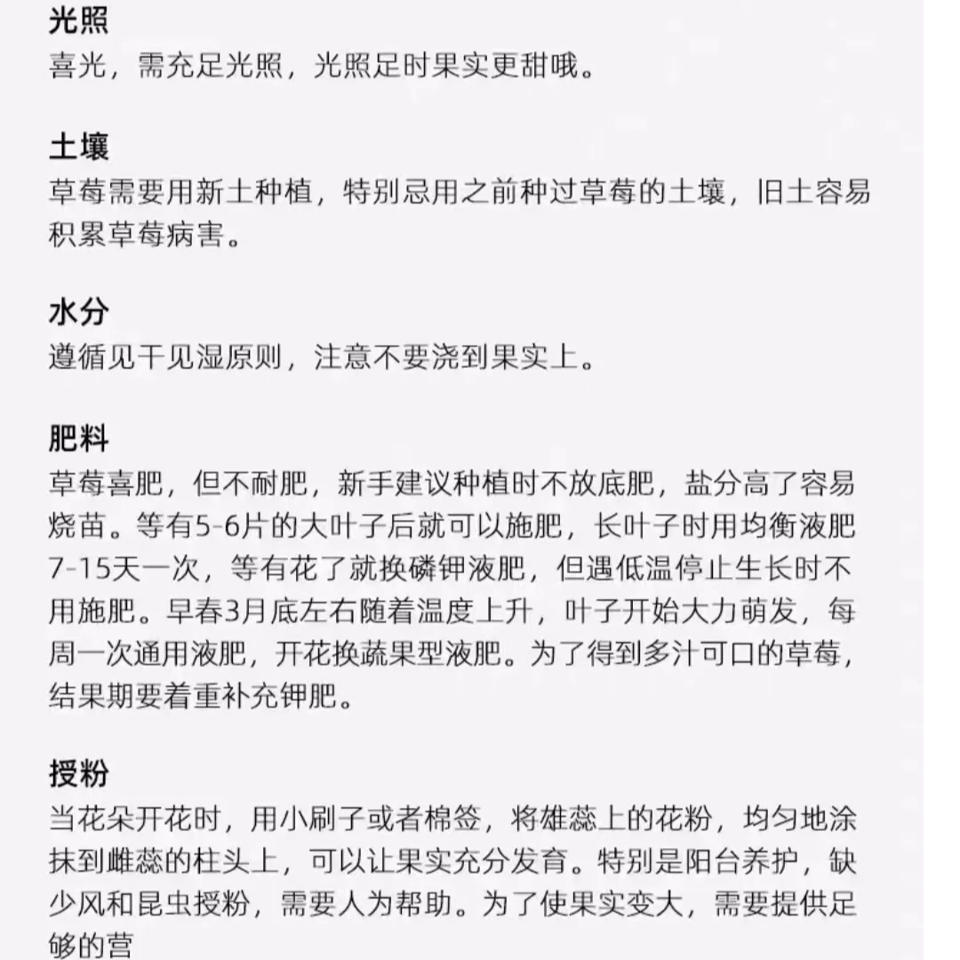 2加仑大盆双拼定制