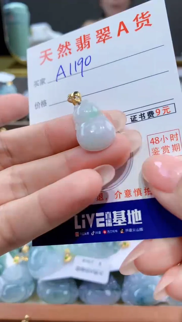 颈饰未镶嵌翡翠天然翡翠A货挂件