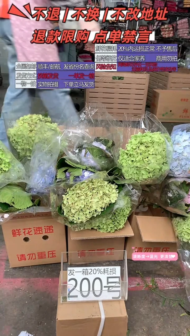 200/5号♥含20%耗损发一箱