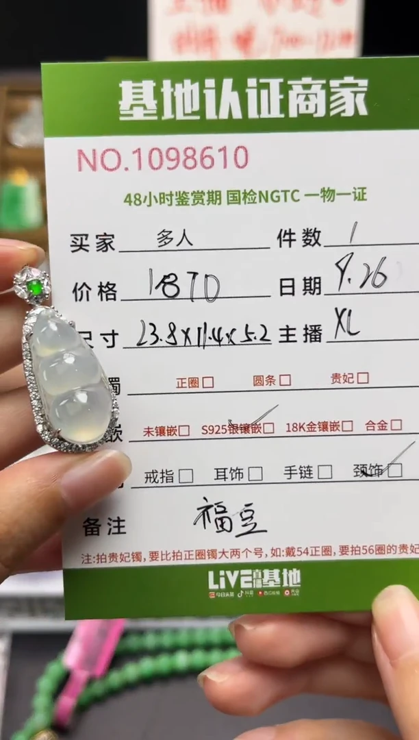 吊坠(不含链)银S925镶嵌翡翠多人