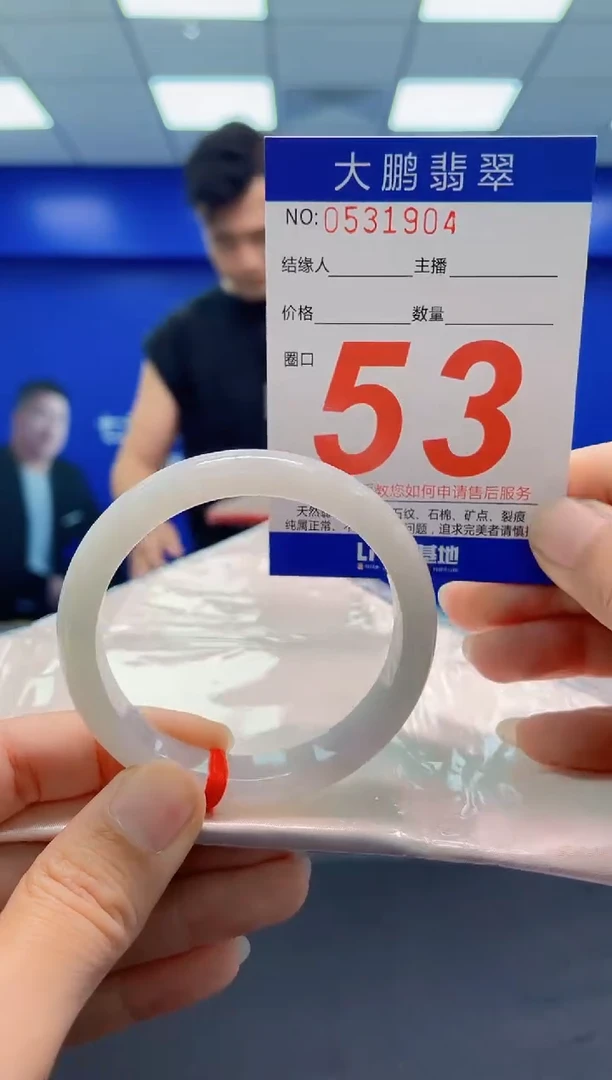 未镶嵌手镯翡翠AAAAAAAAA