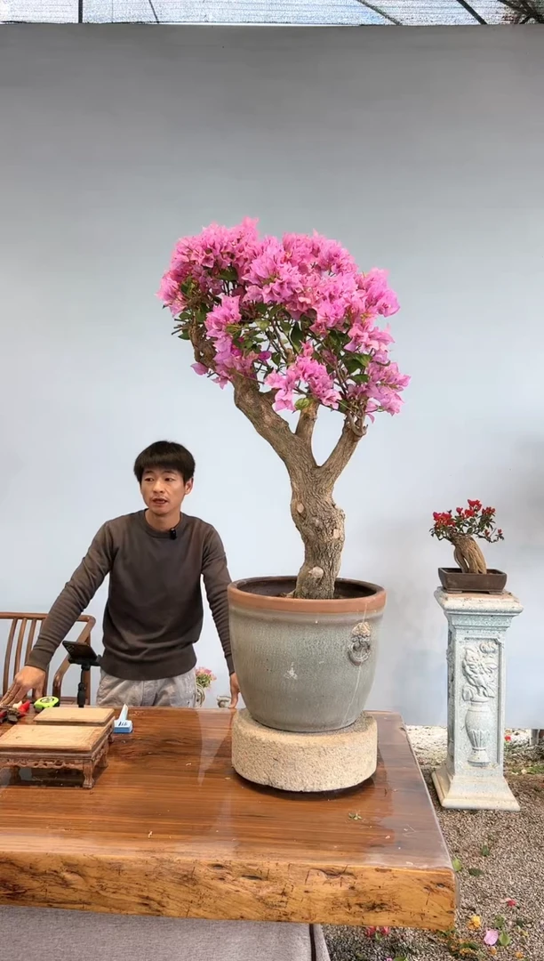 【闪购商品】aa915