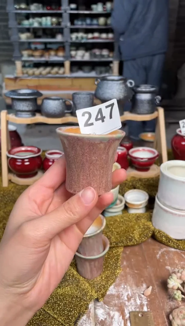 【闪购商品】摆件247知木小芳花盆直播编号