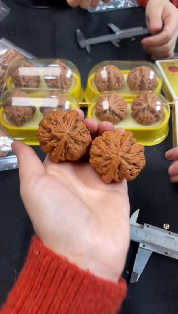 把件文玩核桃大粗筋43尺Z777