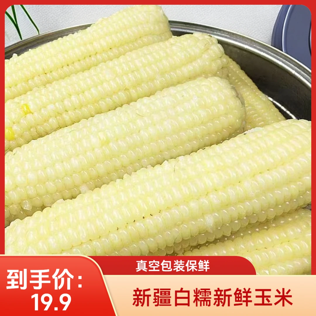 白糯新疆玉米新鲜真空包装粗粮代餐甜黏糯白苞米新疆维吾尔自治区