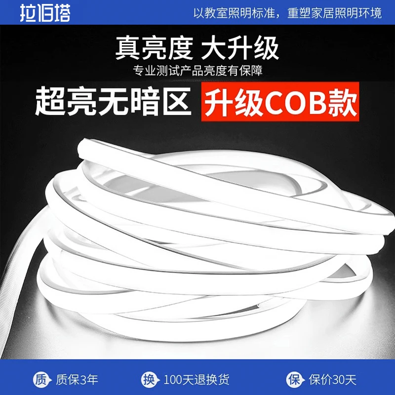 220v灯带led灯条家用超亮白光cob客厅三色线灯户外防水rgb跑马灯