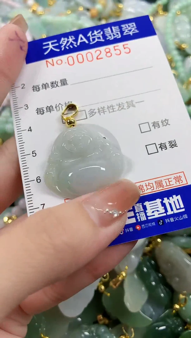 颈饰未镶嵌翡翠天然A货翡翠