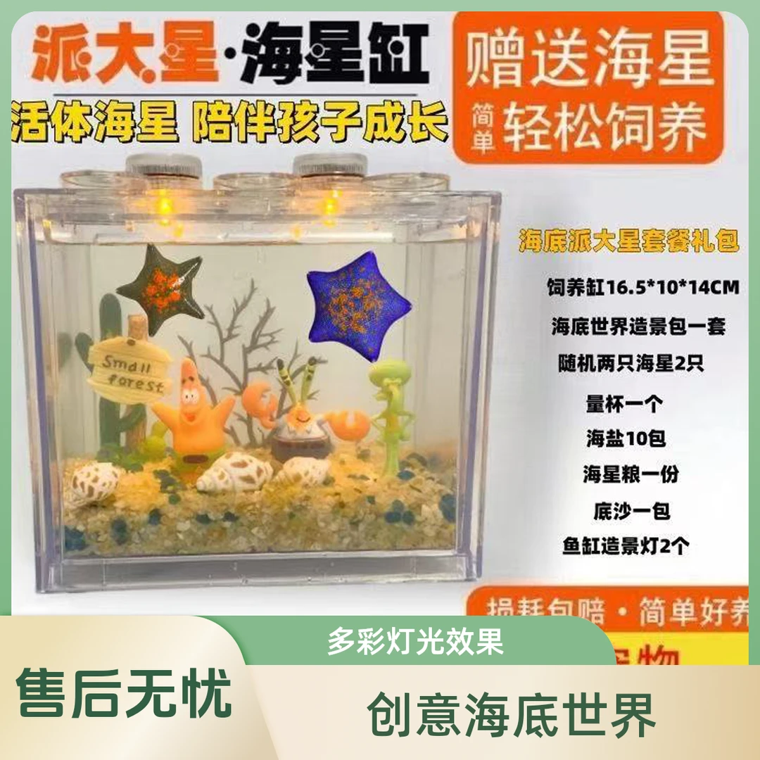 海星活体派大星饲养套餐桌面萌迷你小型懒人宠物儿童礼物网红玩具