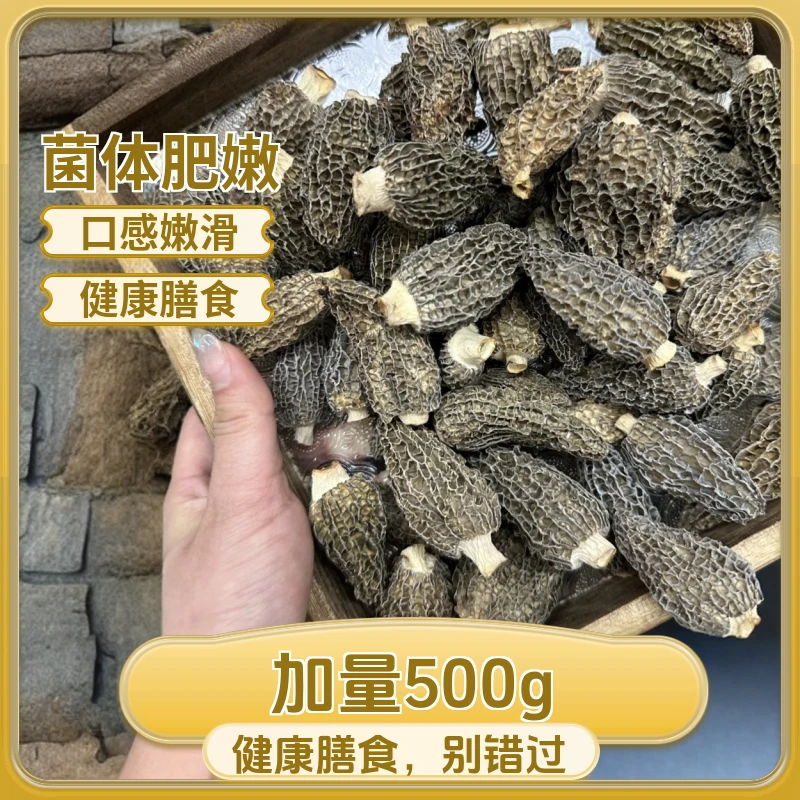 羊肚菌4-6公分精品头茬干货批发仿野生全剪柄花胶鱼胶营养滋补