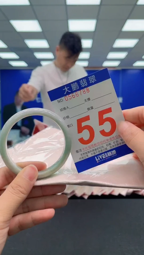 未镶嵌手镯翡翠AAAAAAAAA