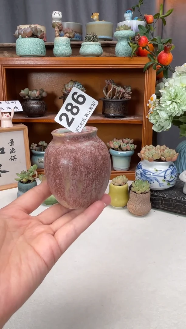 瓷片286知木小芳花盆