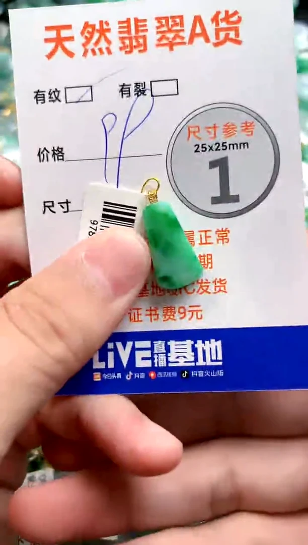 颈饰18K金镶嵌翡翠14006285