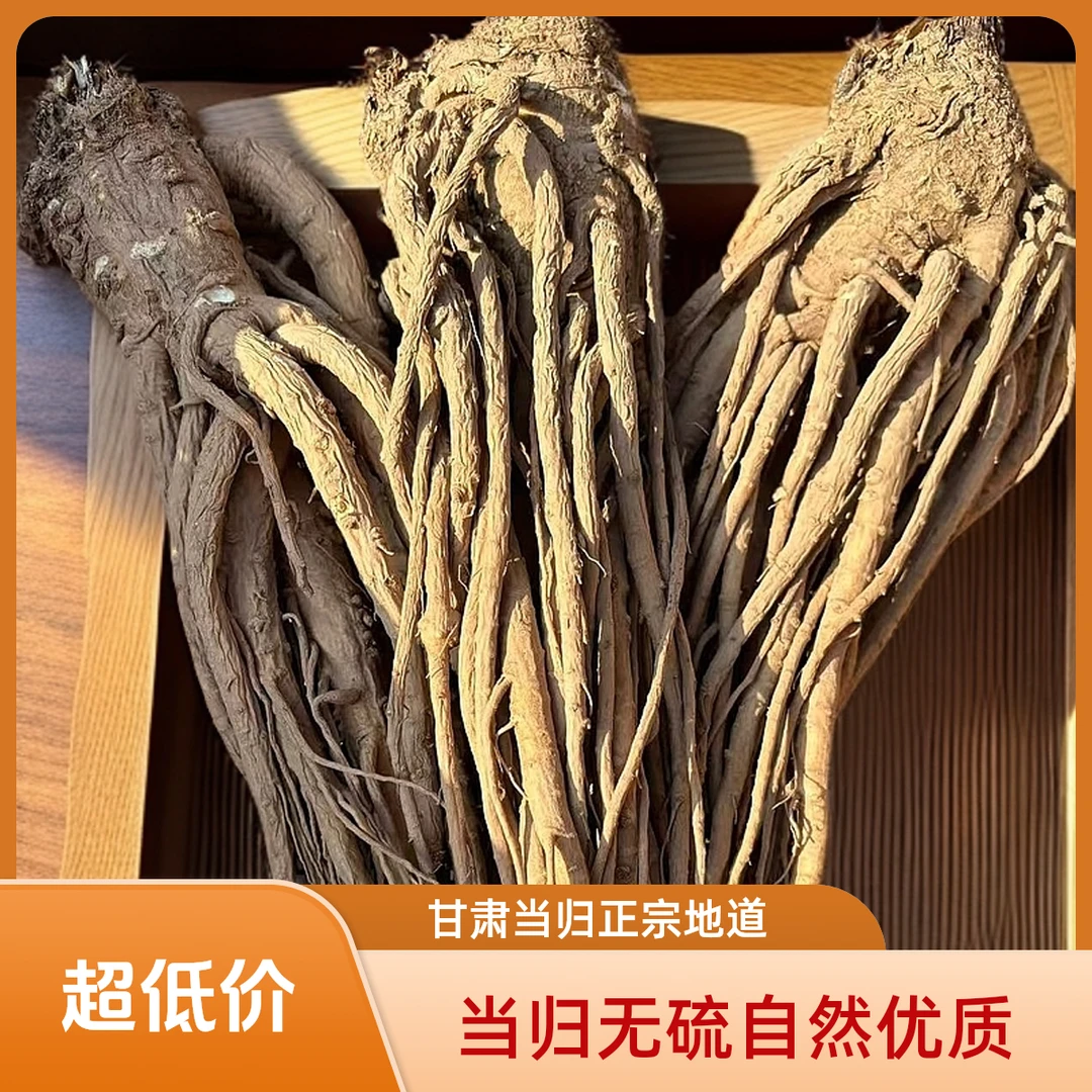正宗甘肃岷县当年当归，无熏硫