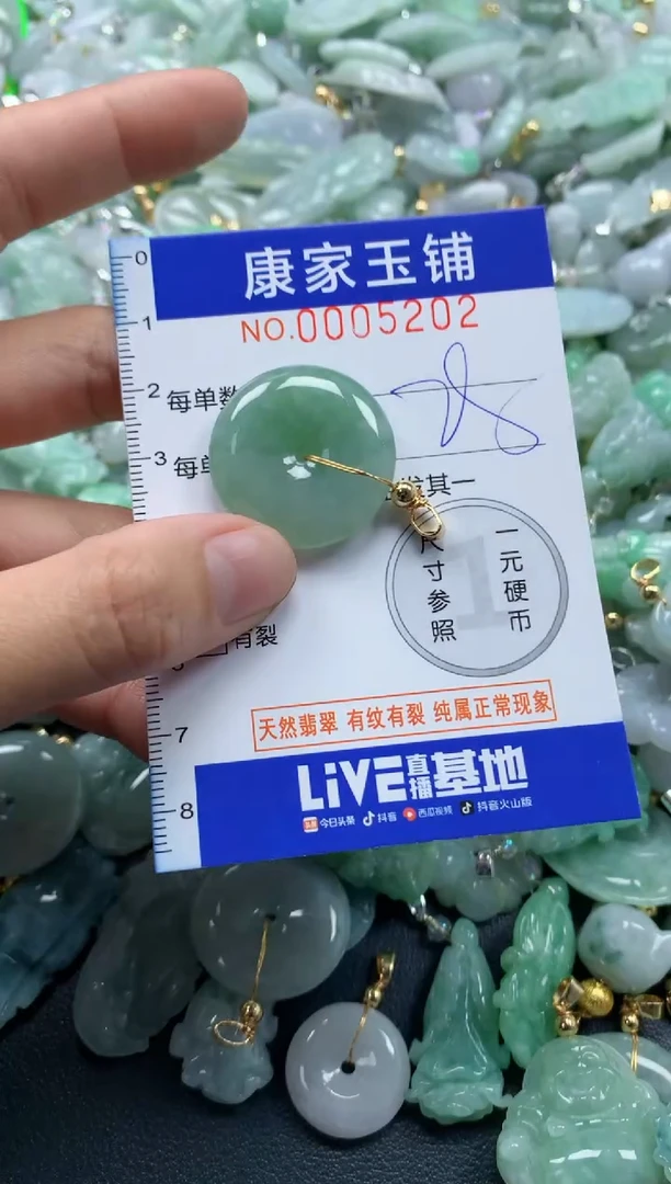 颈饰未镶嵌翡翠5202