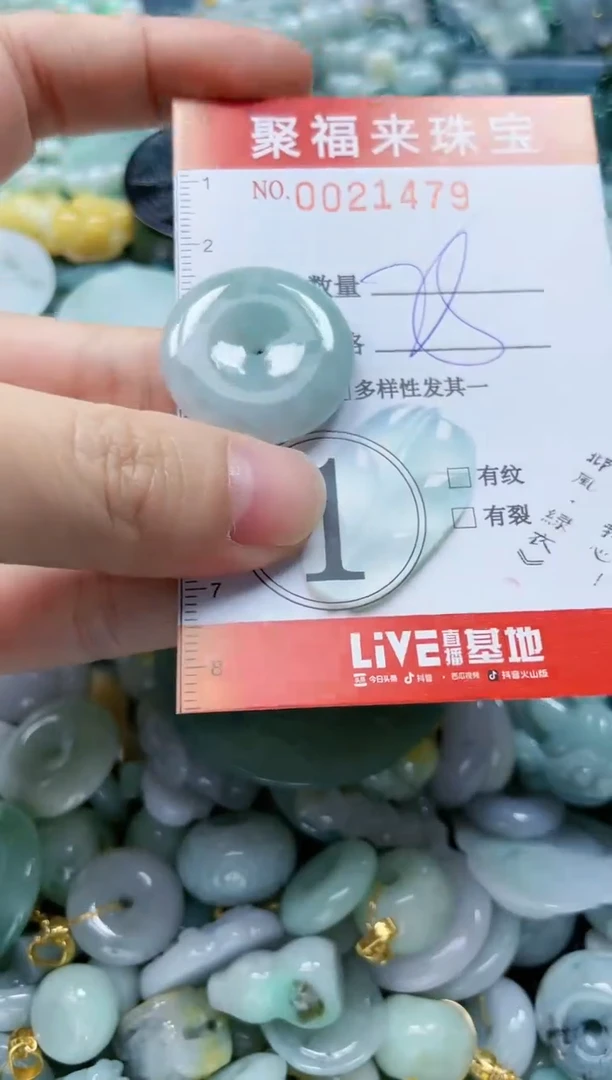 【闪购商品】翡翠颈饰未镶嵌闪购0021479