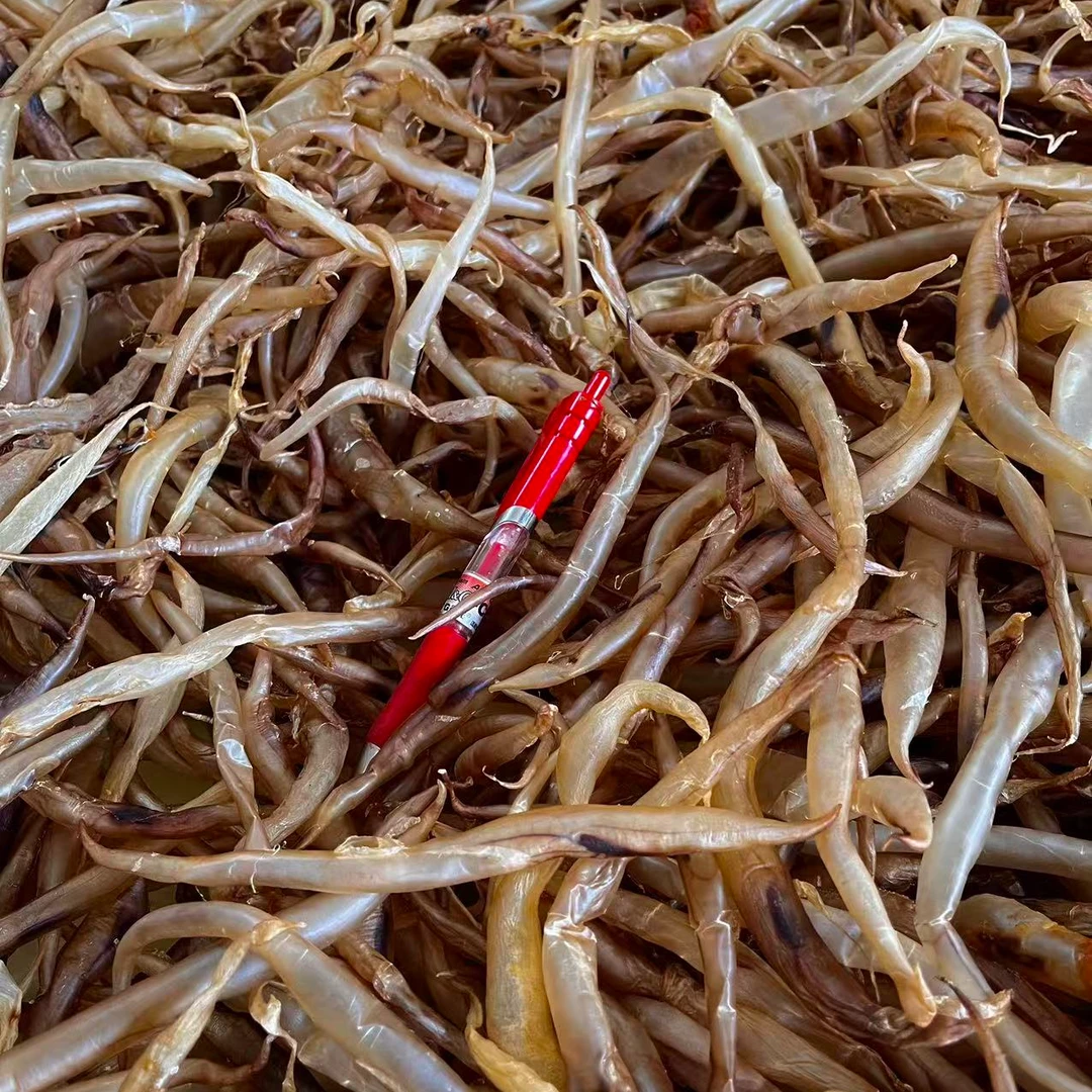 小规格自晒黄门鳗鱼胶 本港自晒膳胶 小鳗鱼胶