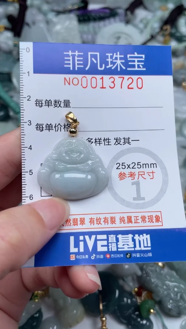 颈饰未镶嵌翡翠13720