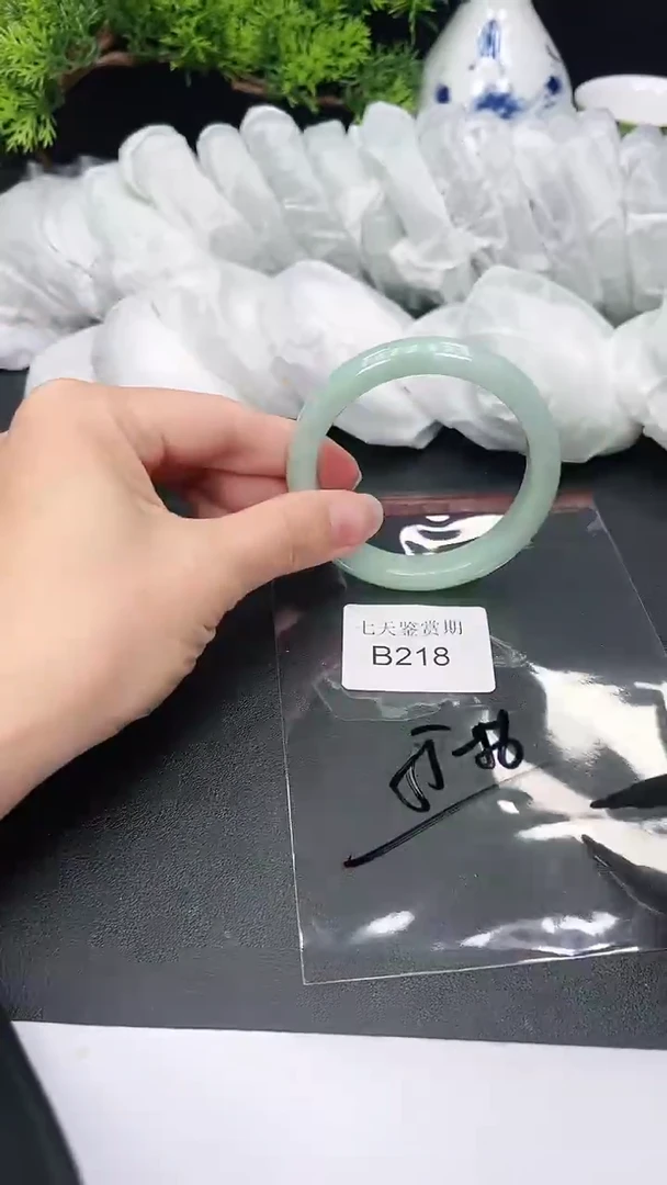 未镶嵌手镯翡翠218