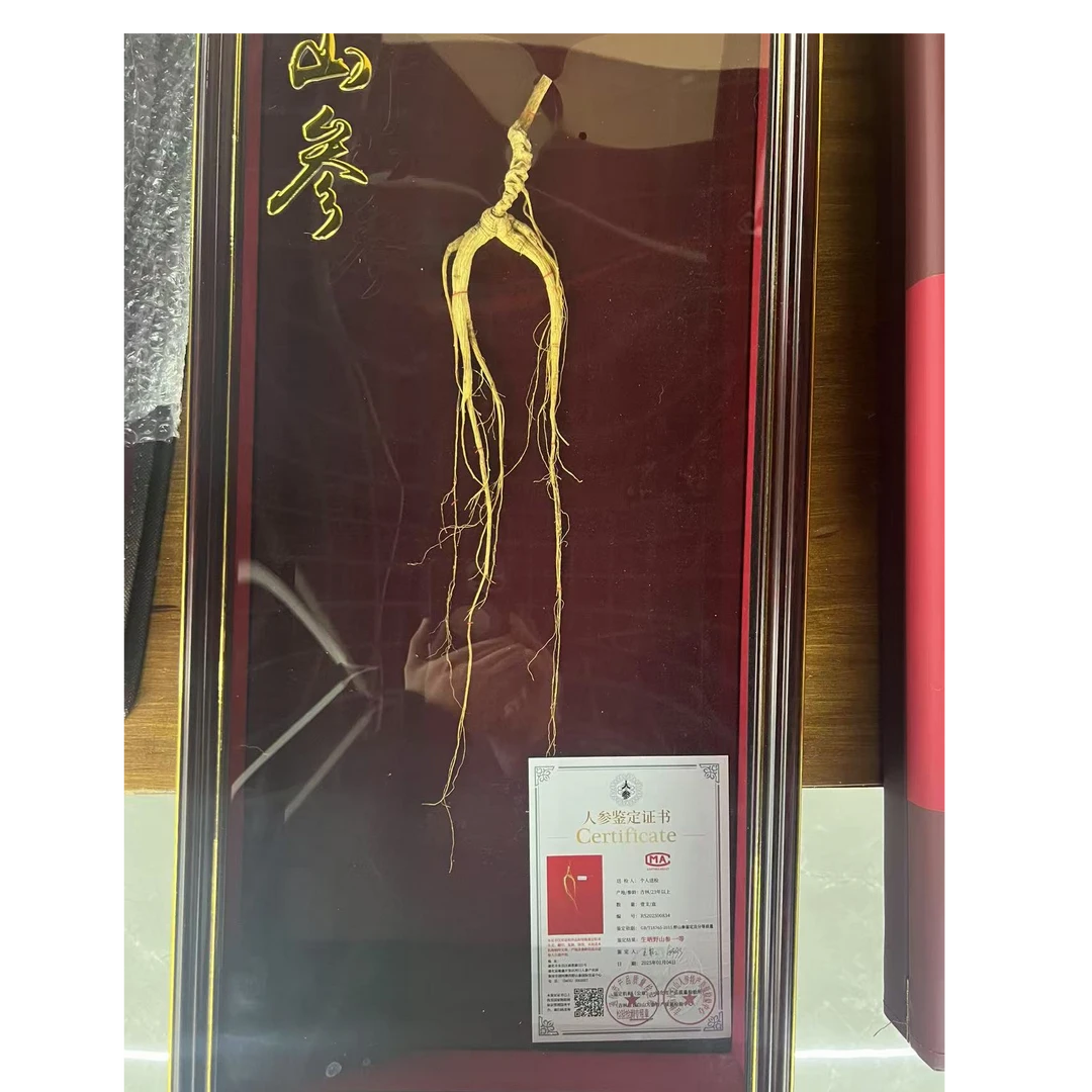 一等野山参(10-14g)