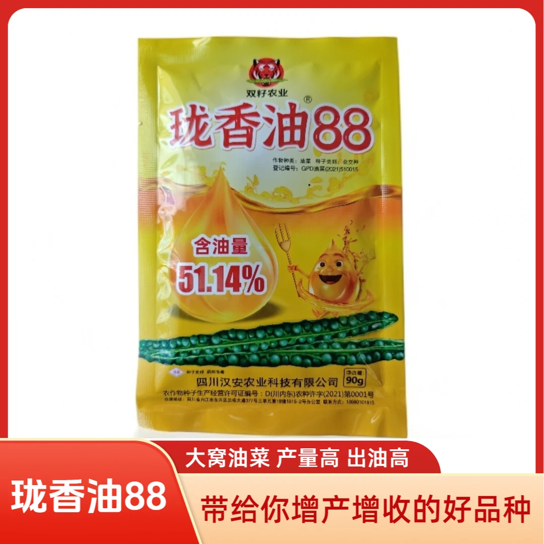 珑香油88油菜籽 高产高出油 矮杆油菜种子 中熟油菜籽粒 秋季播种