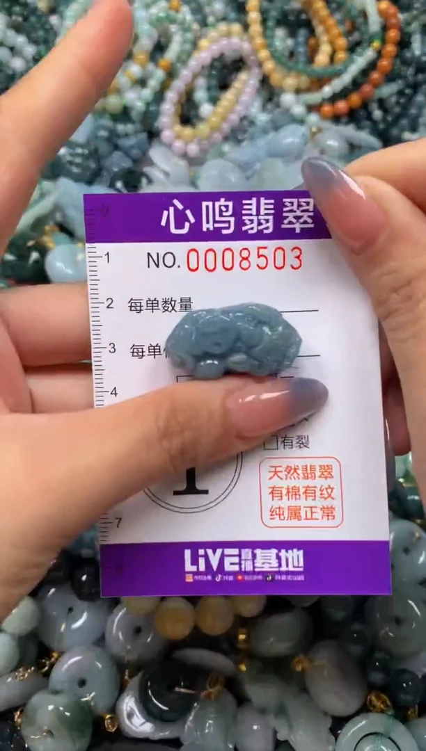 颈饰未镶嵌翡翠闪购008503