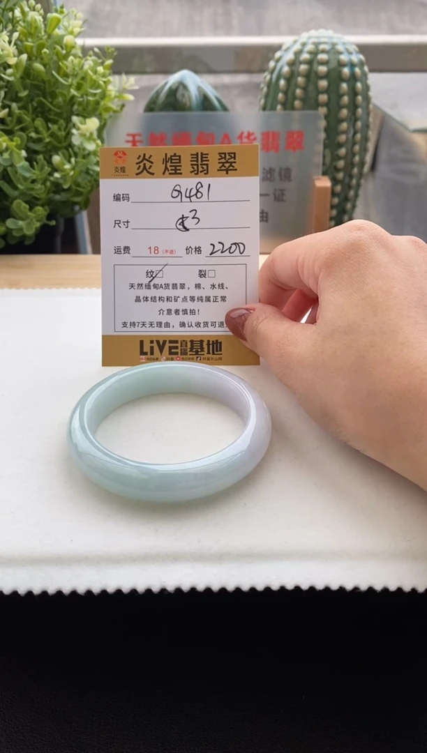 未镶嵌手镯翡翠53.2圈口 编码G481