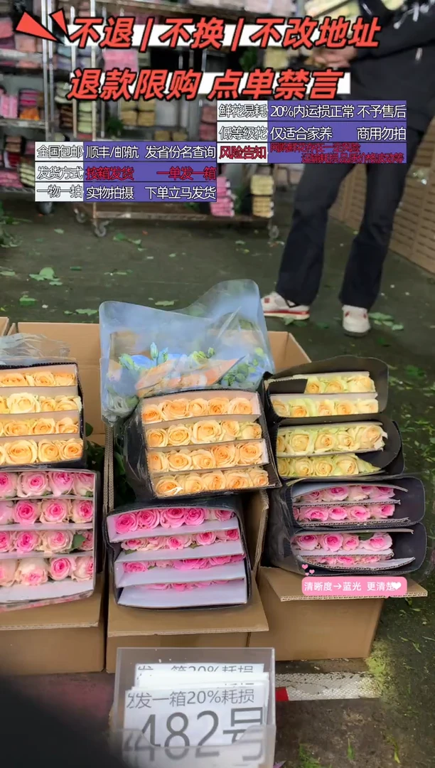 481号♥含20%耗损发一箱