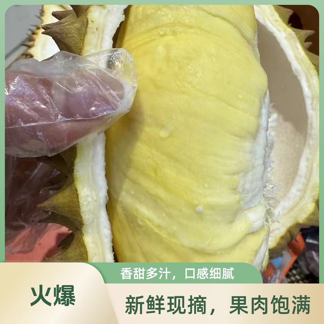 5树熟核小干包鲜榴莲（1~10斤）金枕