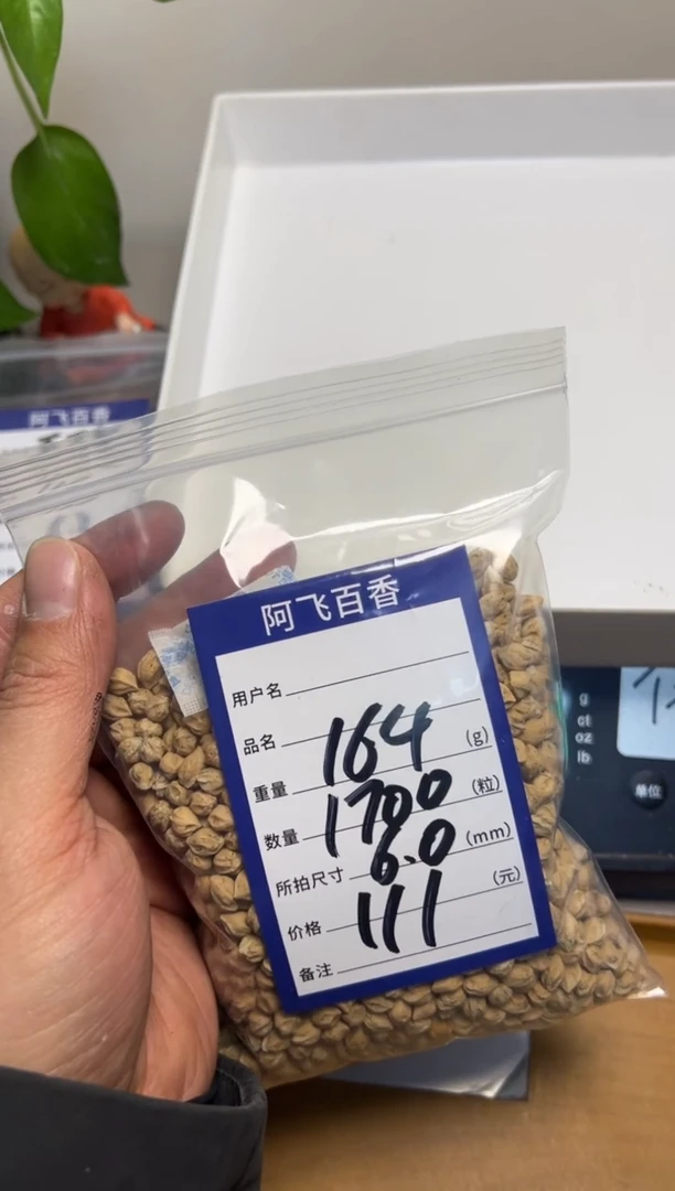 【闪购商品】柏香籽/百香籽吊坠111