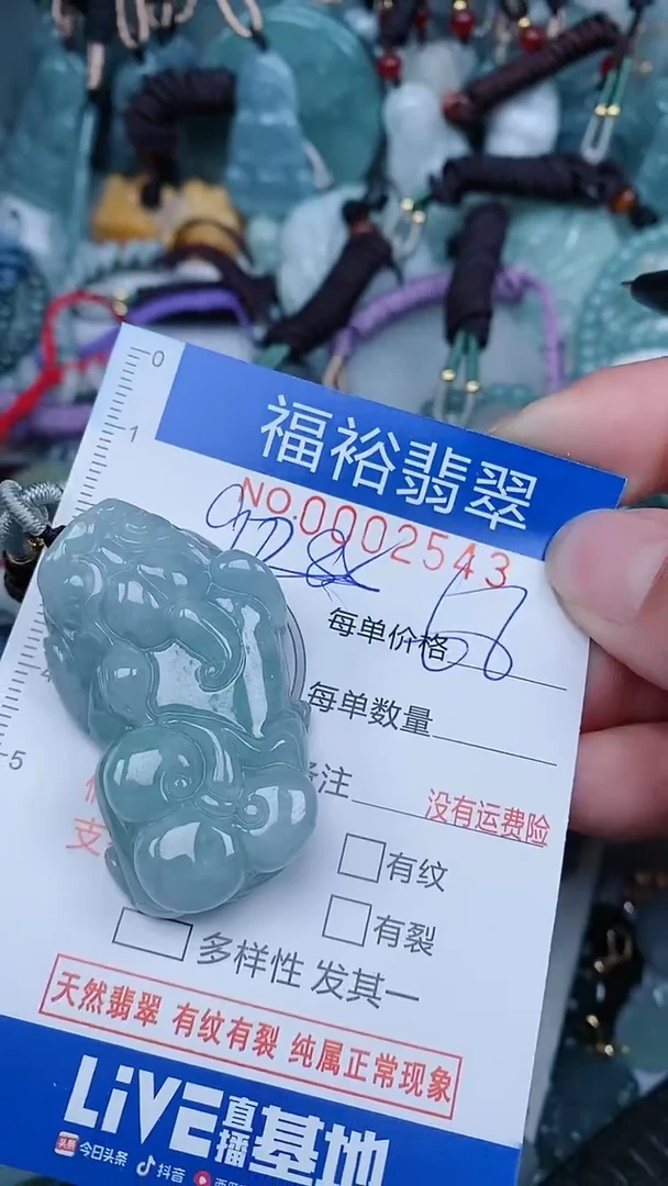 【闪购商品】翡翠颈饰未镶嵌...0002543
