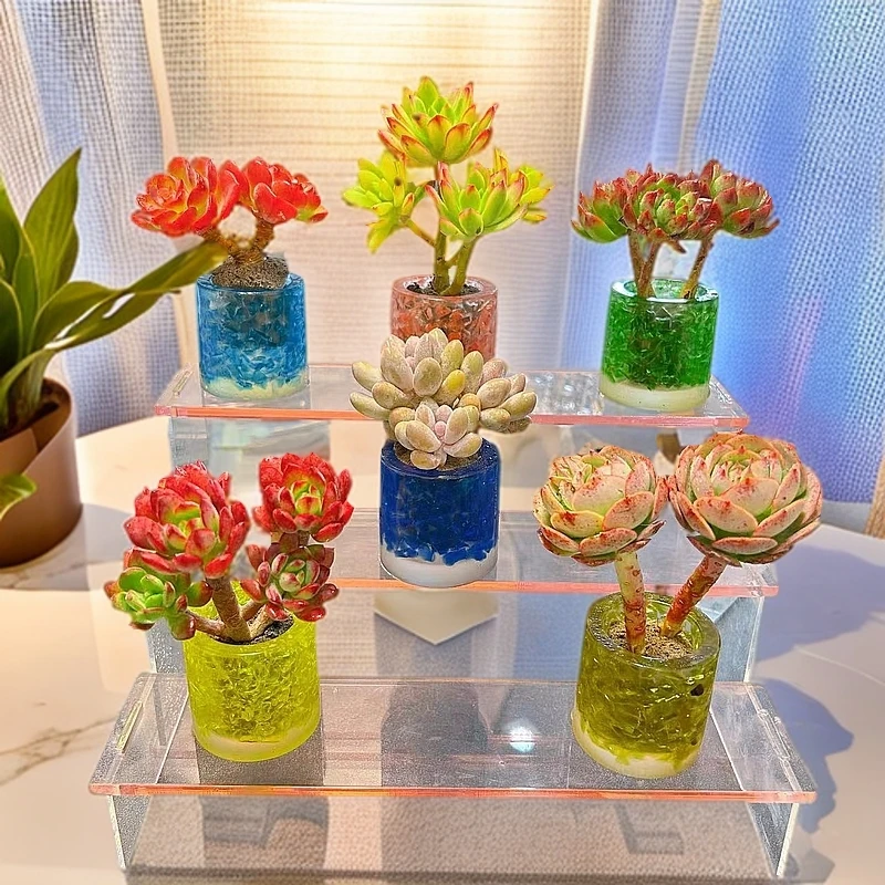 D8无土老桩组合(含圆形水晶花器