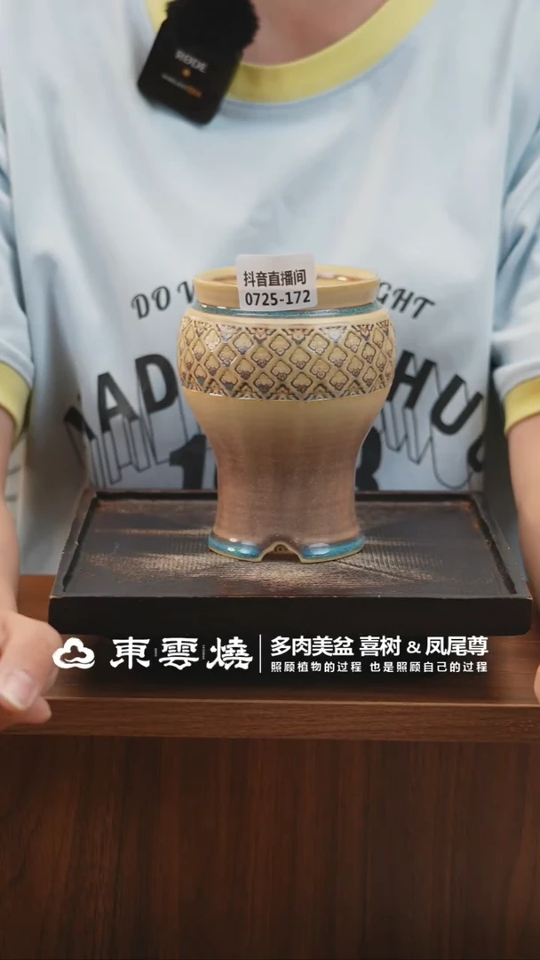 0725-171C凤尾尊口8