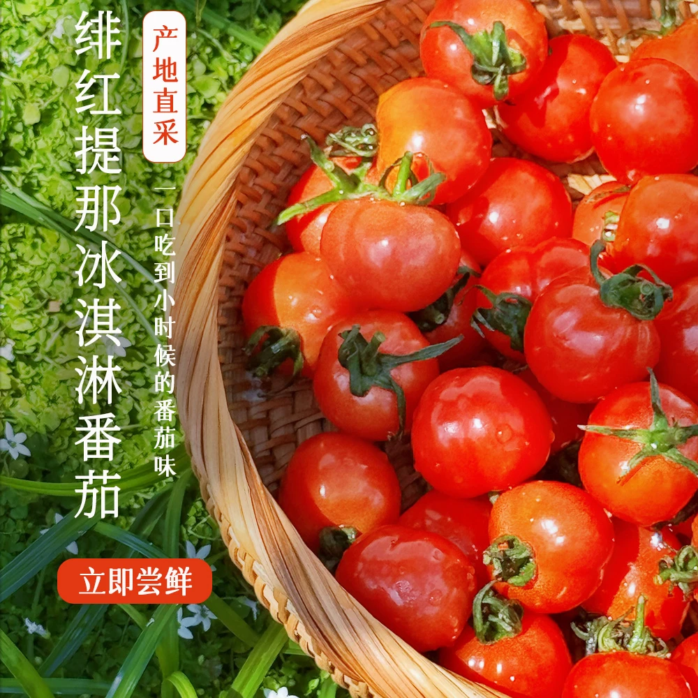 冰淇淋小番茄[薄皮糯心 口口爆汁]