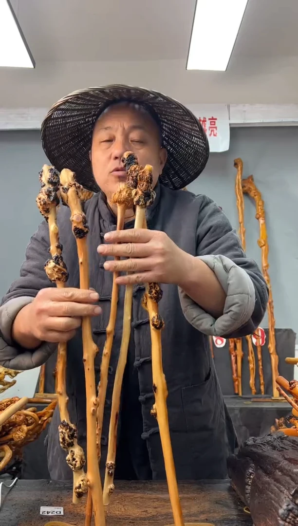 【闪购商品】黑果木其他黑果木262