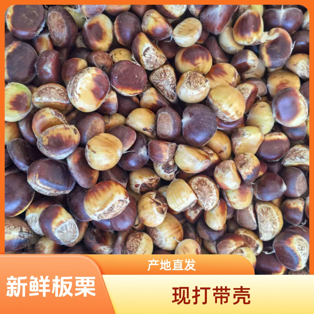 金寨之乡现剥花红板栗非锥栗 实图拍照5斤3斤申通包邮