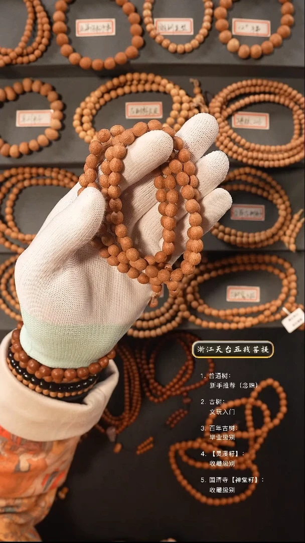 【闪购商品】五线菩提吊坠原皮脖挂