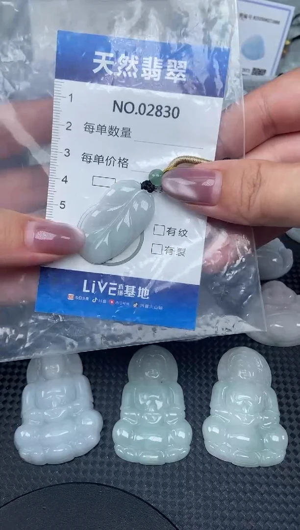 颈饰未镶嵌翡翠纯天然A货翡翠2830