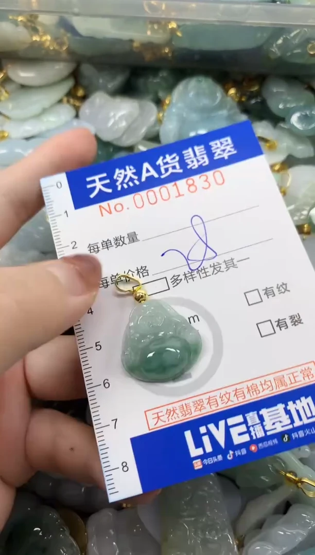 颈饰未镶嵌翡翠天然A货翡翠