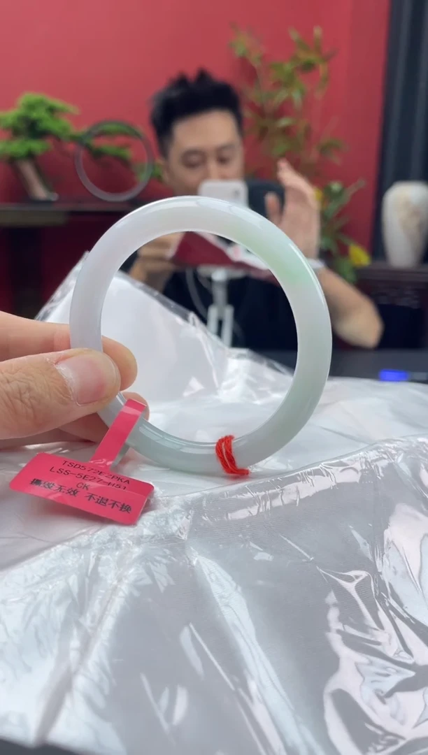 未镶嵌手镯翡翠6