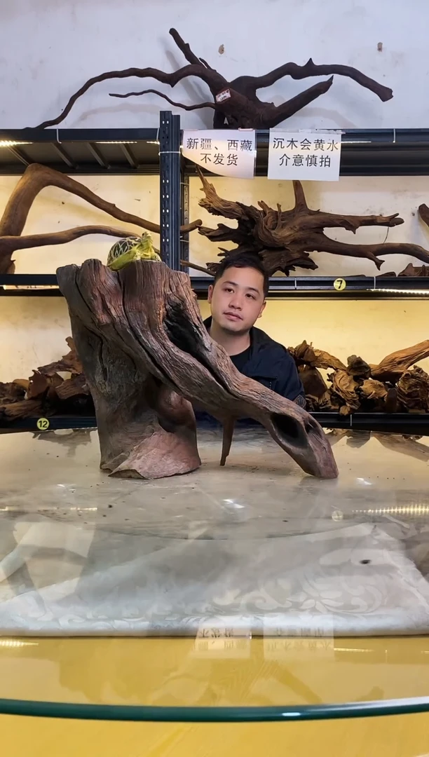【闪购商品】柚木木艺鱼缸造景沉木172