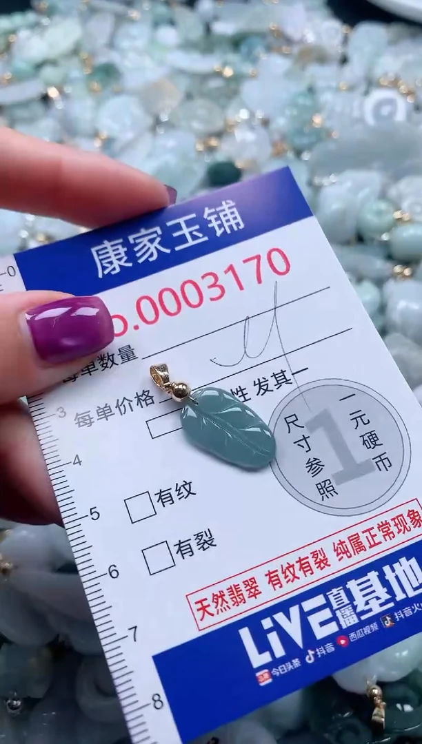 颈饰未镶嵌翡翠3170