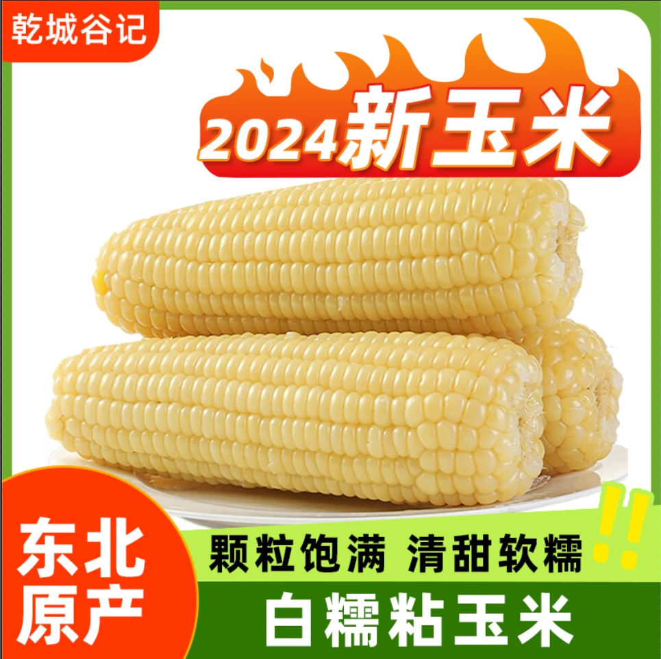 10根2025年白甜糯玉米真空粘苞米东北吉林特产白粘玉米饱腹代餐