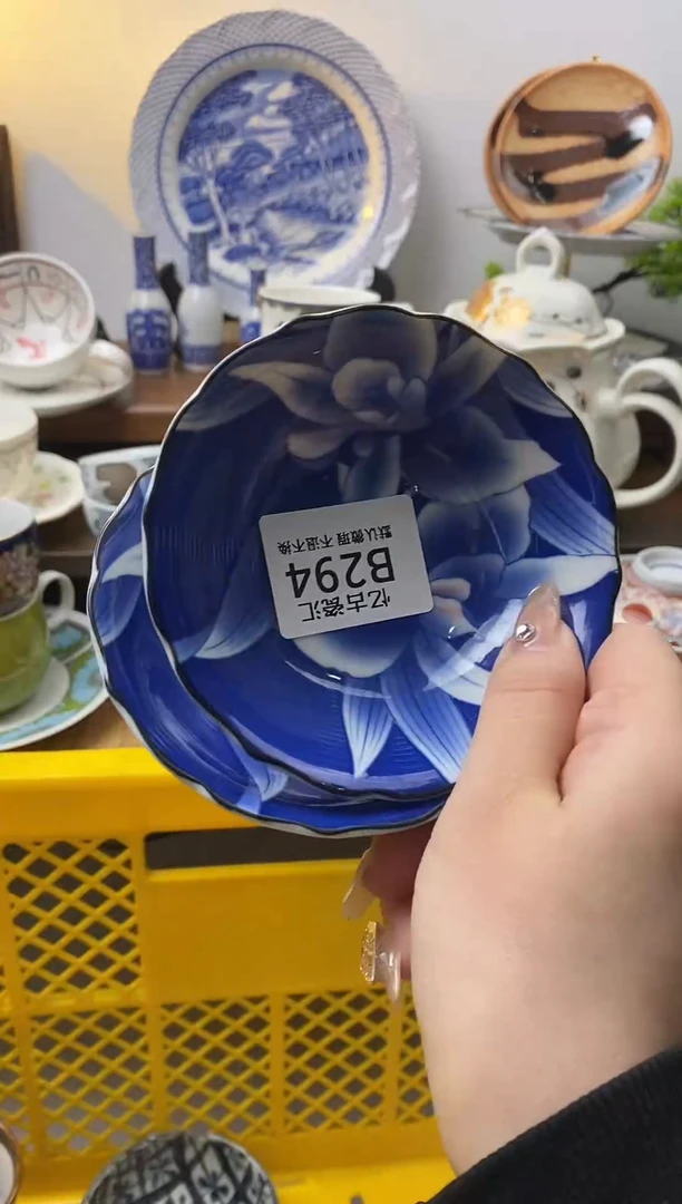 【闪购商品】瓷片294两片满18包邮默认微瑕不退不换