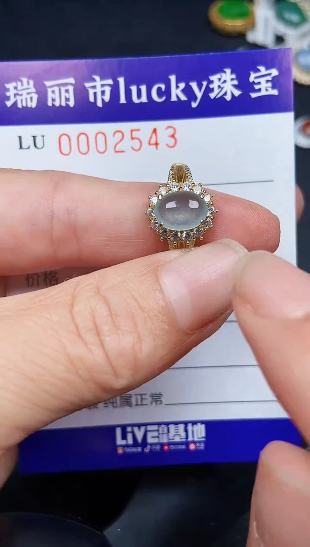 翡翠银S925镶嵌颈饰2543